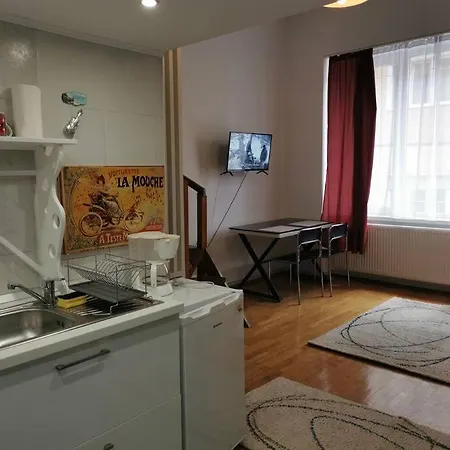 Garsoniera Centrul Istoric * Braşov